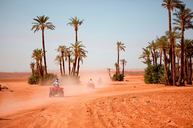 Marrakech Palm Grove 2-Hour Quad Biking Adventure. - The mint tea stop with Berber communities