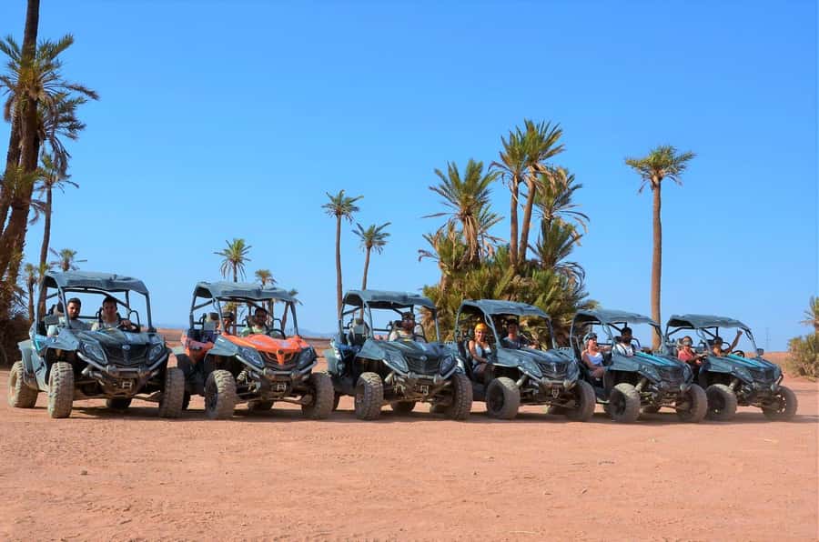 Marrakech: Palm Grove and Desert Buggy excursion - Is $45 good value for the ride?