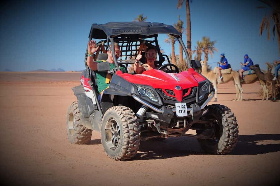 Marrakech: Palm Grove and Desert Buggy excursion - Booking flexibility and language support