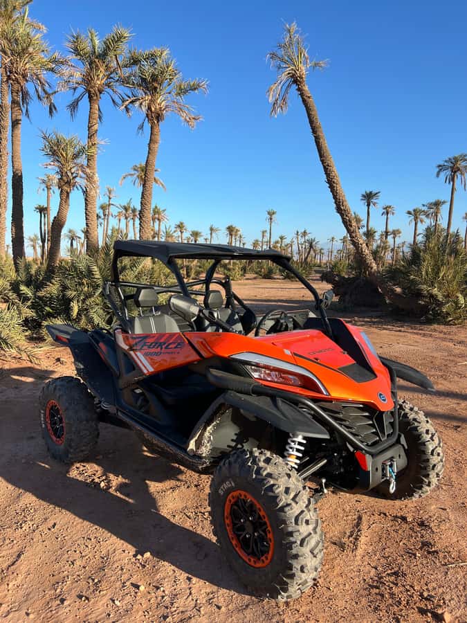 Marrakech : Palm Grove and jbilat Desert Buggy 1000cc Tour - At a glance: what makes this ride worthwhile