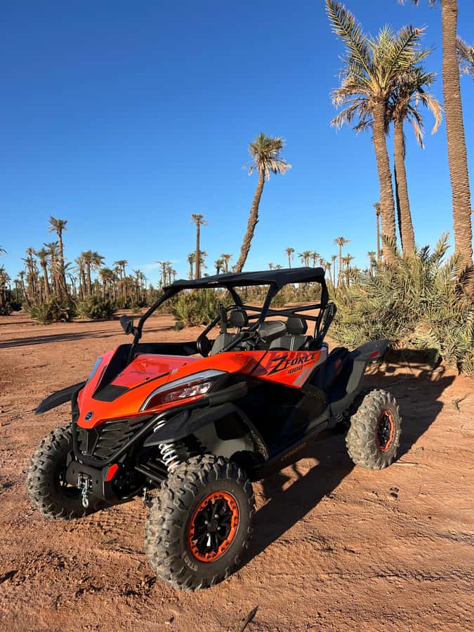 Marrakech : Palm Grove and jbilat Desert Buggy 1000cc Tour - Two hours across rocky desert tracks
