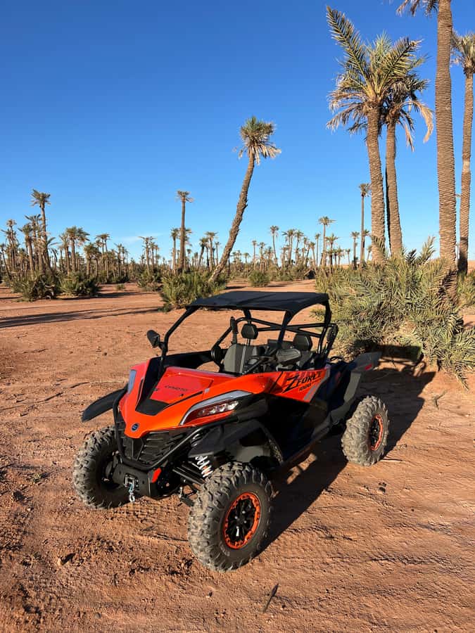 Marrakech : Palm Grove and jbilat Desert Buggy 1000cc Tour - The first pause: 15 minutes of mint tea