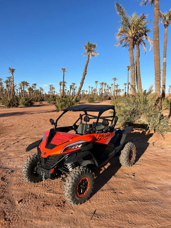 Marrakech : Palm Grove and jbilat Desert Buggy 1000cc Tour - The second pause: palms and photographs