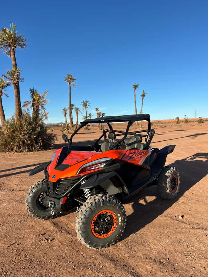 Marrakech : Palm Grove and jbilat Desert Buggy 1000cc Tour - What $79 buys you