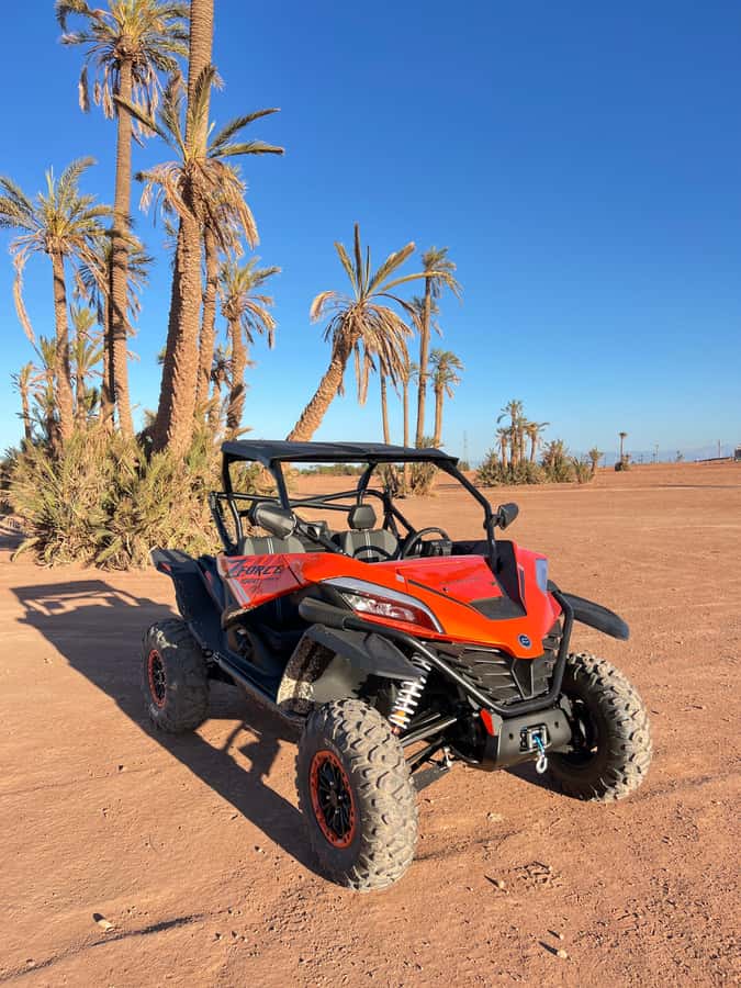 Marrakech : Palm Grove and jbilat Desert Buggy 1000cc Tour - Who should book this Palmeraie adventure?