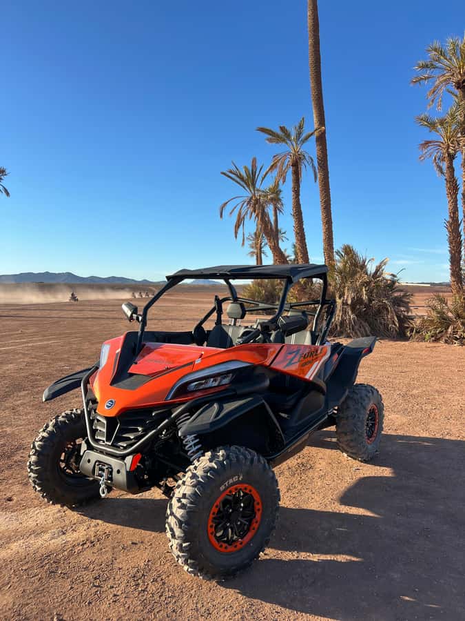 Marrakech : Palm Grove and jbilat Desert Buggy 1000cc Tour - Practical advice before pickup