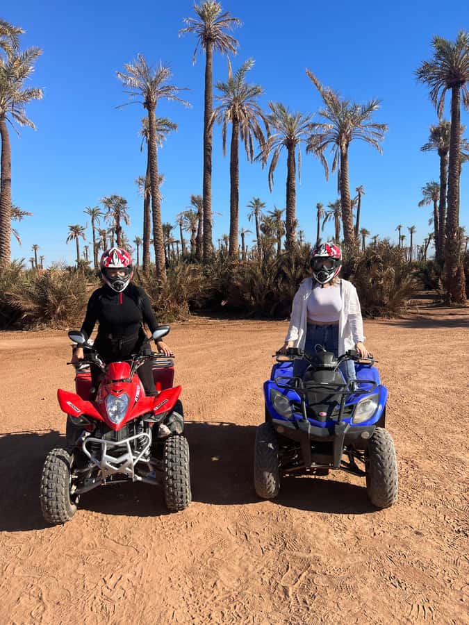 Marrakech: Palm Grove and Jbilat Desert Quad Bike Tour - Who Will Enjoy This Quad Tour?