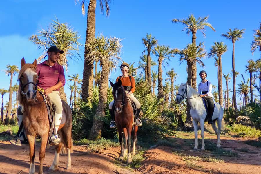 Marrakech: Palm Grove Horseback Riding Tour - One hour through palm groves and village roads