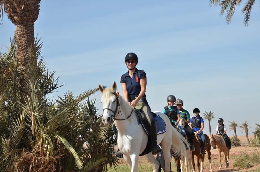 Marrakech: Palm Grove Horseback Riding Tour - Meeting the horses and getting ready