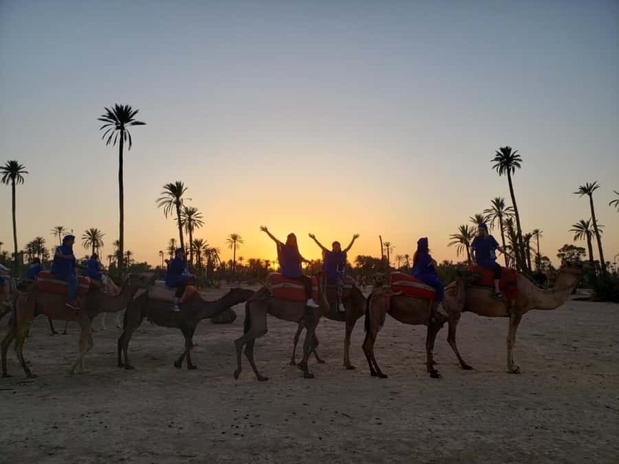 Marrakech palm grove: Sunset camel ride - What $46 really gets you