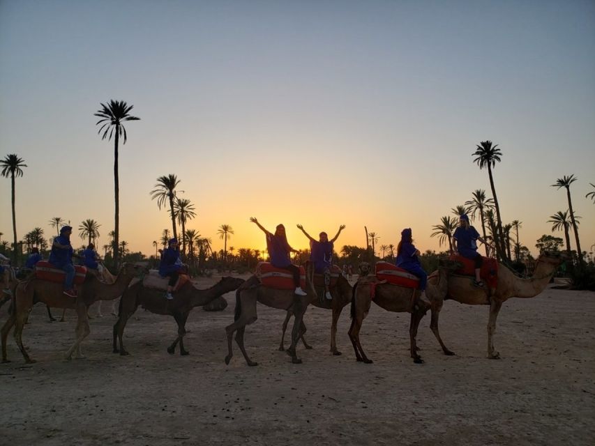 Marrakech palm grove: Sunset camel ride - Who should book this experience