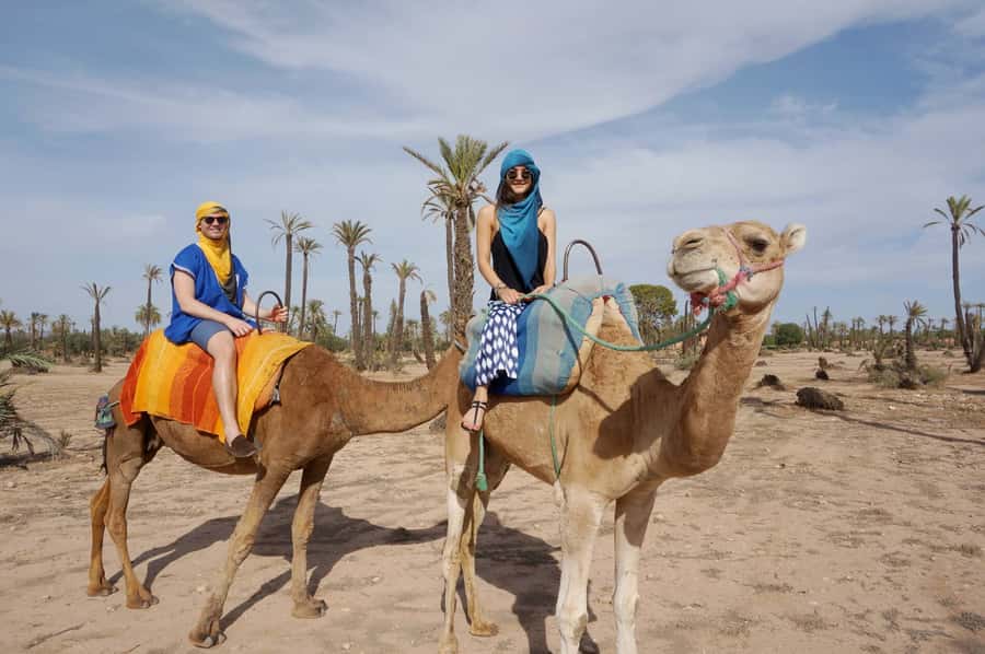 Marrakech Palmeraie: Camel Ride at Sunset - Timing, languages, and cancellation