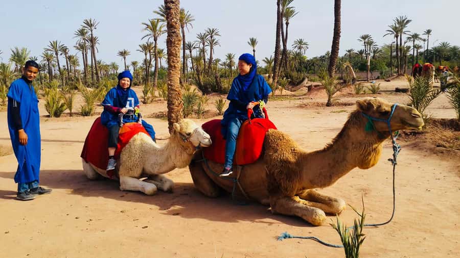 Marrakech Palmeraie: Camel Ride & Quad Bike Experience - Quad biking on dusty desert tracks