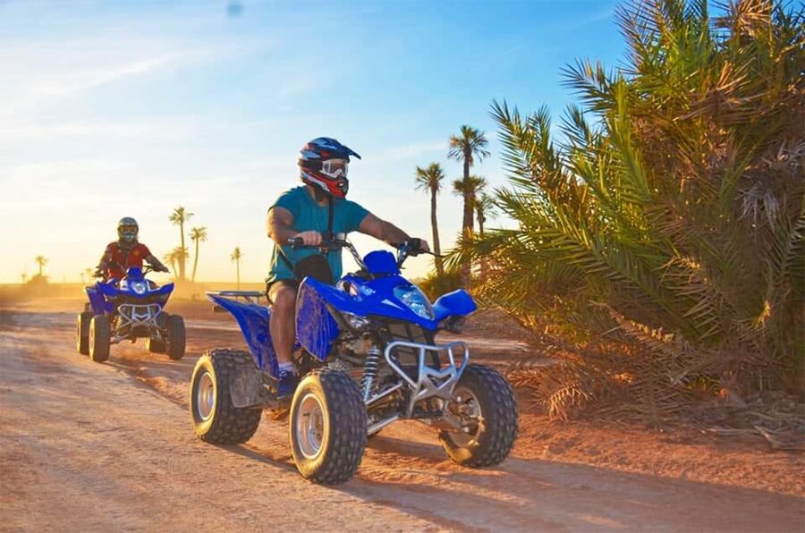 Marrakech Palmeraie: Camel Ride & Quad Bike Experience - Who should book this Palmeraie outing?