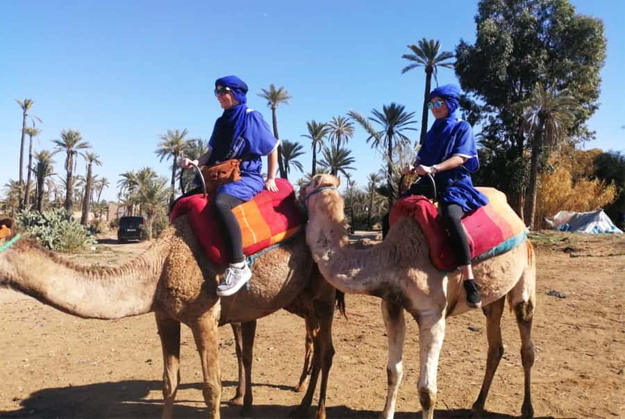 Marrakech Palmeraie: Camel Ride & Quad Bike Experience - Camel riding beneath the Palmeraie palms
