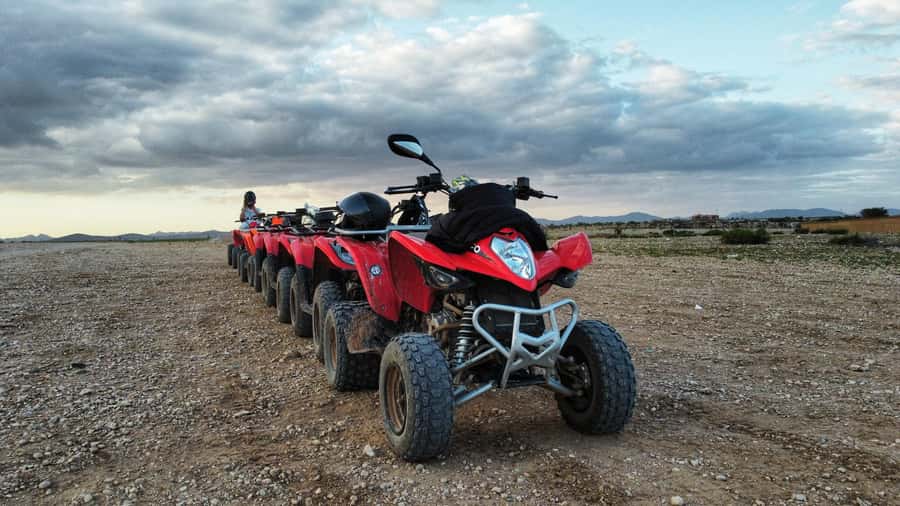Marrakech: Palmeraie Guided Quad Biking Tour with Tea - The Palm Tree Photo Stop