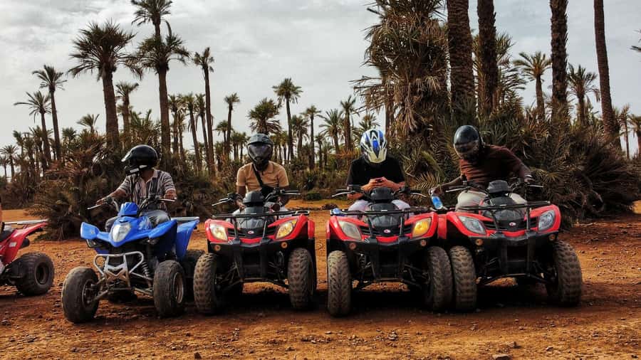 Marrakech: Palmeraie Guided Quad Biking Tour with Tea - Is $15 Good Value?