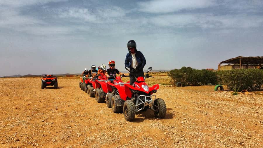 Marrakech: Palmeraie Guided Quad Biking Tour with Tea - Who Should Book This Outing?