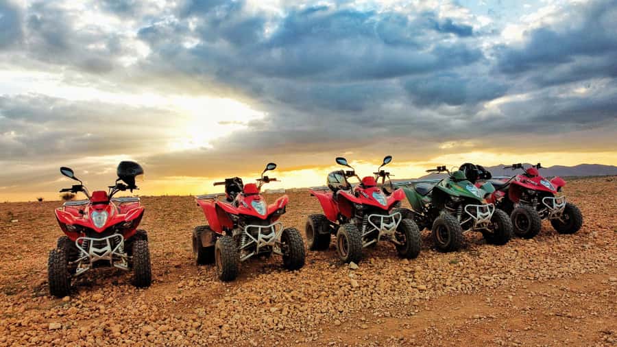 Marrakech: Palmeraie Guided Quad Biking Tour with Tea - Two Hours Through Palms and Rocky Tracks