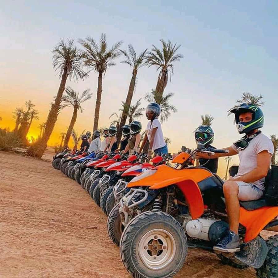Marrakech: Palmeraie Private Quad Bike Experience - The photo stop in the palms
