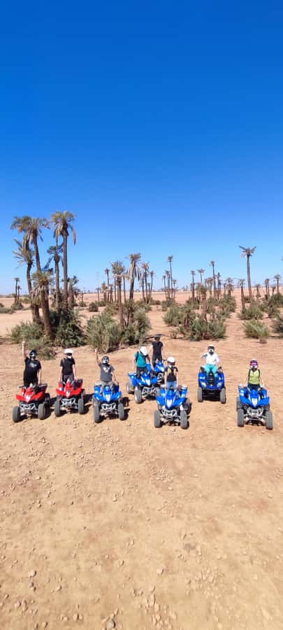 Marrakech: Palmeraie Private Quad Bike Experience - Should you book the Palmeraie quad experience?