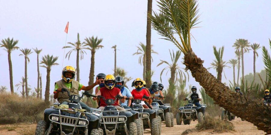 Marrakech: Palmeraie Quad Bike Desert Adventure - Who will enjoy this most