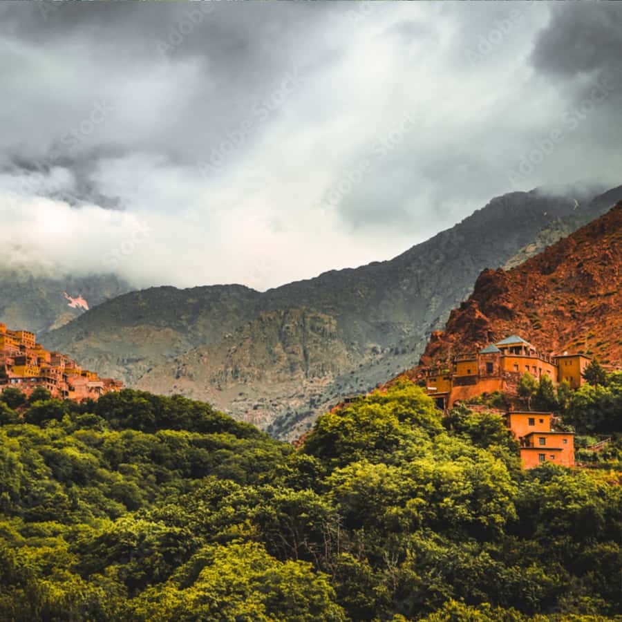 Marrakech: Paragliding, Camel Ride & Berber Villages Trip - Why this Marrakech day trip works so well