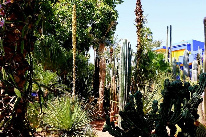 Marrakech Private Full-Day Walking Tour with Hotel Pickup and Drop-Off - A seven-hour introduction to Marrakech
