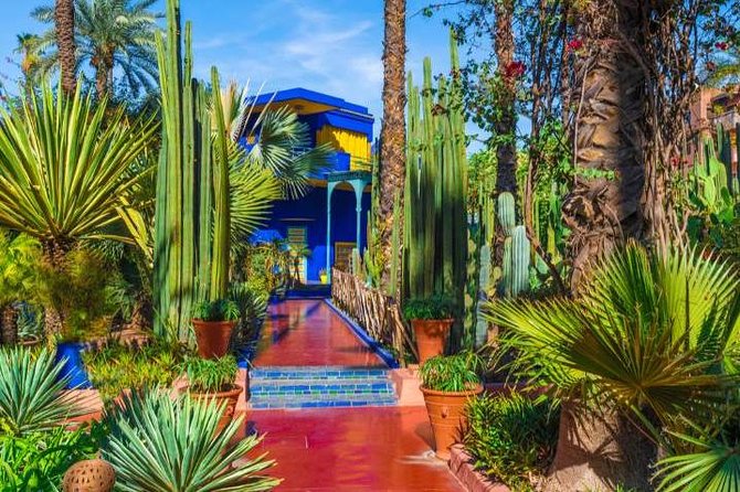 Marrakech: Private Guided Half-Day City Tour - Majorelle Garden and its cobalt-blue buildings