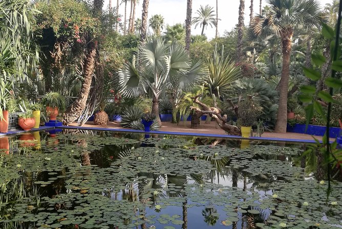 Marrakech: Private Guided Half-Day City Tour - Koutoubia Mosque and the view across the red city