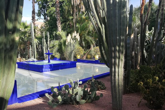 Marrakech: Private Guided Half-Day City Tour - Mellah and Bab Agnaou, two different views of old Marrakech