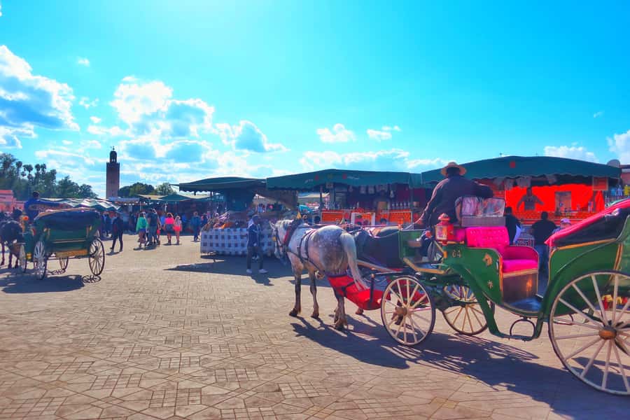 Marrakech: Private Half-Day City Highlights Tour - Gueliz and Hivernage: Marrakech after the French arrival