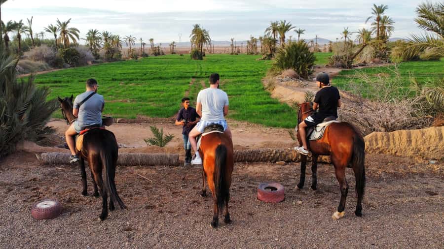 Marrakech: Private Horseback Tour in the Palm Grove with Tea - Key points to know before you book