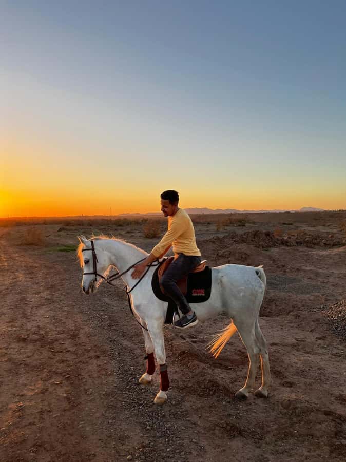 Marrakech: Private Horseback Tour in the Palm Grove with Tea - Leaving the Medina for the Palmeraie