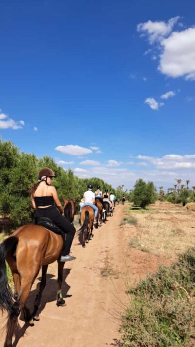 Private Horseback Tour in the Palm Grove with Tea