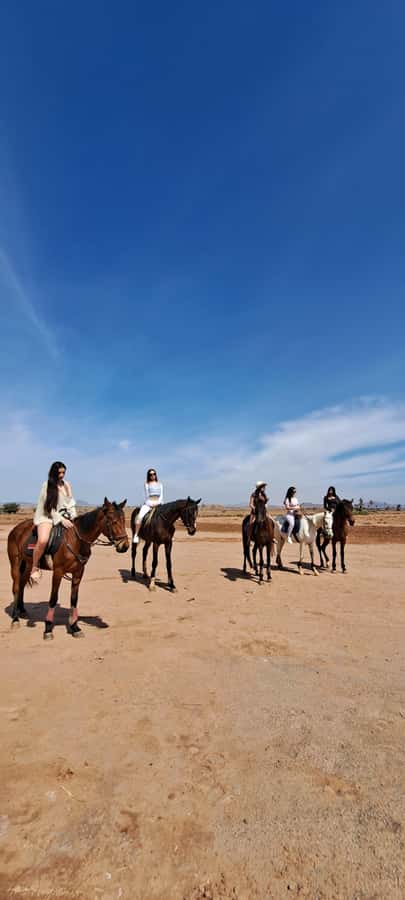 Marrakech: Private Horseback Tour in the Palm Grove with Tea - Practical value at $33 per person