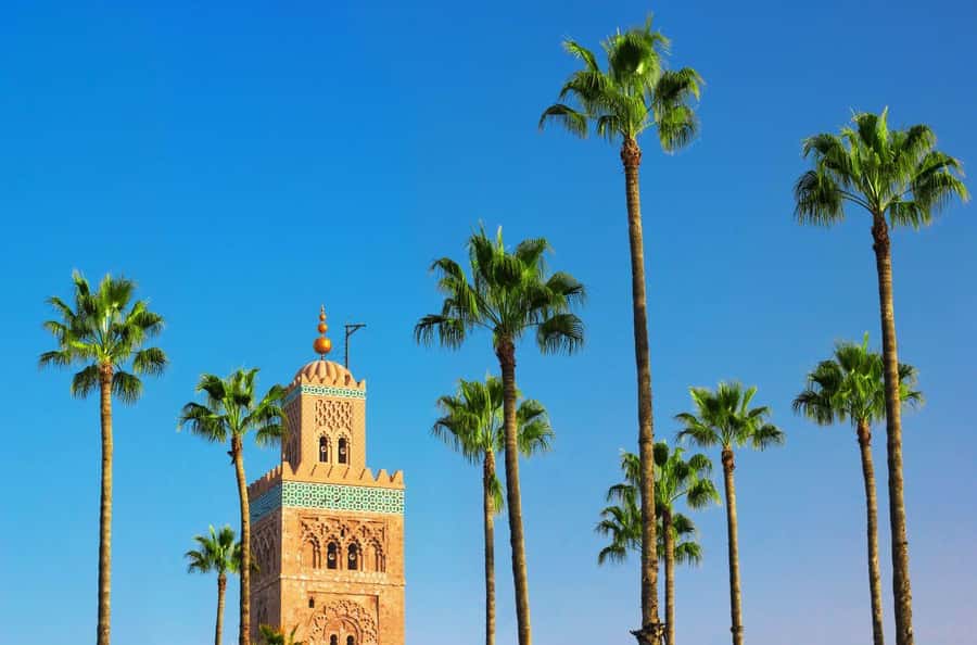 Marrakech Private Medina Tour: Bahia Palace & Ben Youssef - Through the souks to Bahia Palace
