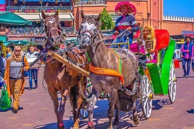 Marrakech Private Souks Tour: Exclusive Shopping Experience - Olive oil, spices, and small tastes along the way