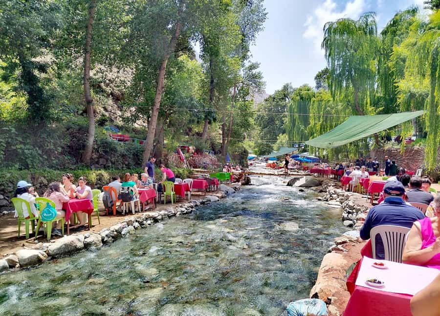Marrakech : Private To Ourika Valley Atlas Mountains & Lunch - Argan oil at a women’s cooperative