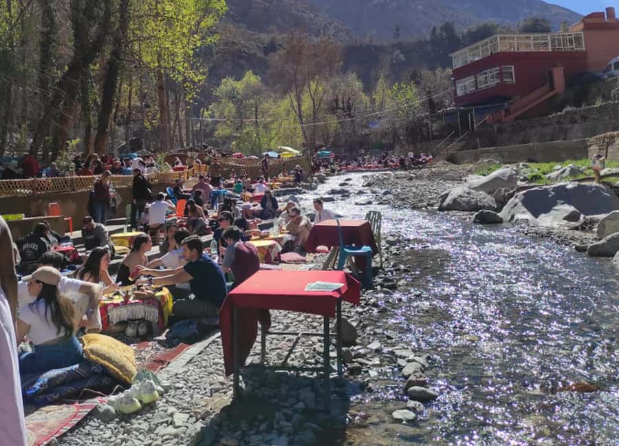 Marrakech : Private To Ourika Valley Atlas Mountains & Lunch - The return to Marrakech