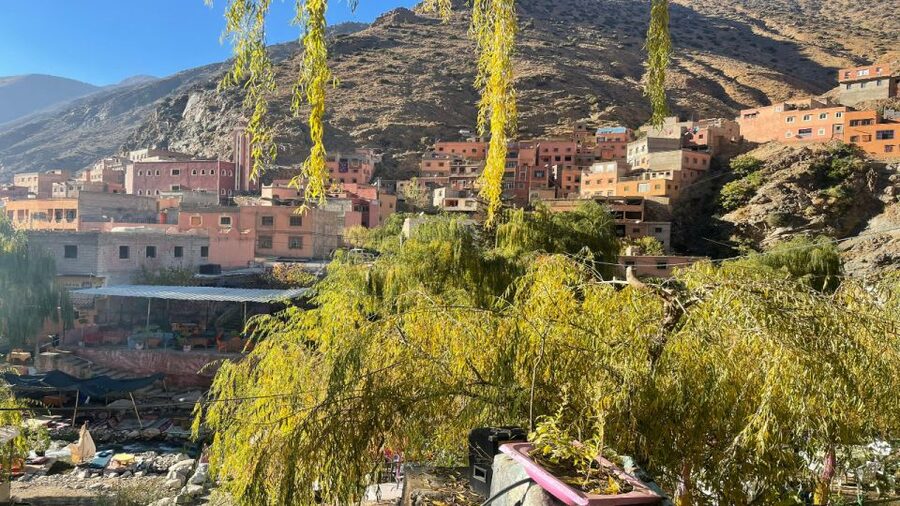 Marrakech : Private To Ourika Valley Atlas Mountains & Lunch - Practical tips for a smoother day