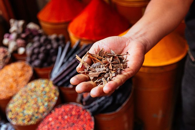 Marrakech PRIVATE TOUR With Locals: Highlights & Hidden Gems - Bahia Palace and the question of entrance fees