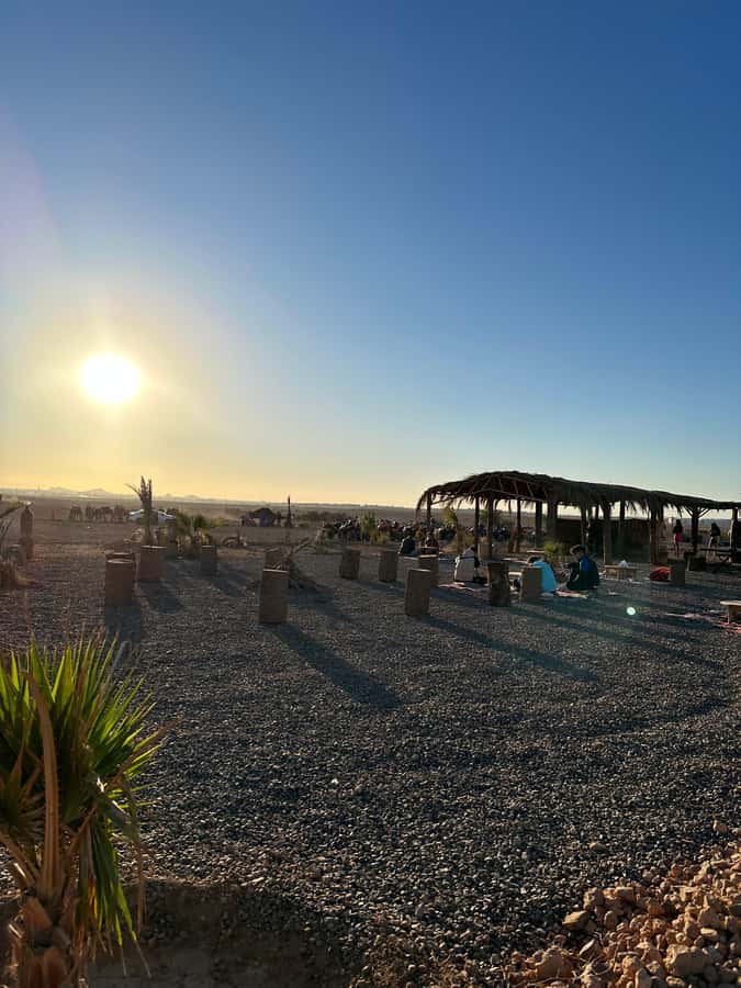 Marrakech: quad Adventure at the Dunes of the palmery desert - Timing, cancellation, and useful preparation