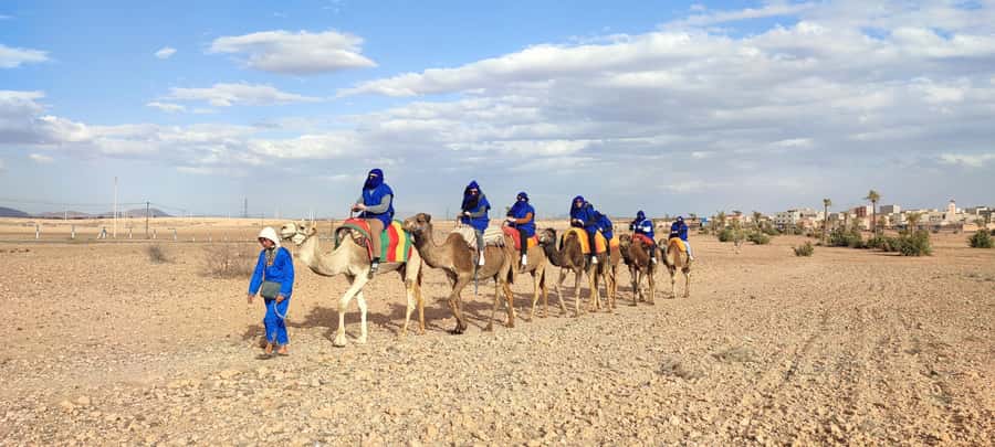 Marrakech: quad bike and Camel Ride in Marrakech - Two hours on a quad through the palm grove