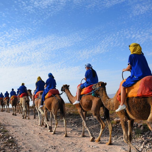 Marrakech: quad bike and Camel Ride in Marrakech - A 20 to 30 minute camel ride among the palms