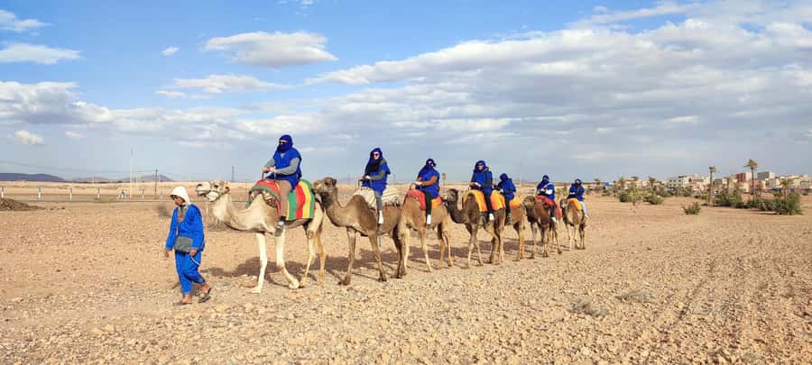 Marrakech: quad bike and Camel Ride in Marrakech - Pickup from Marrakesh and the ride to Palmeraie