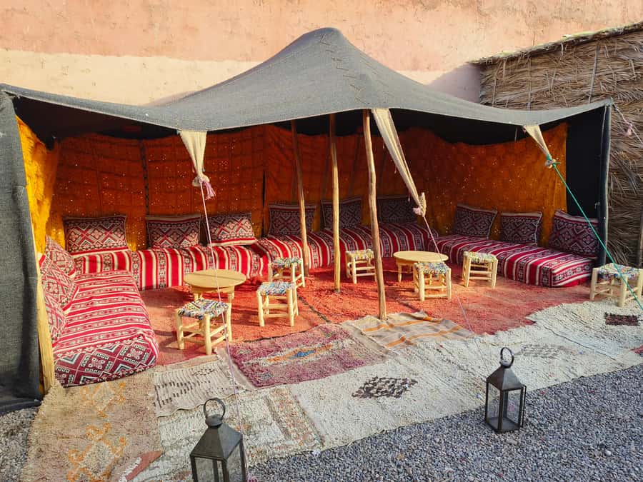 Marrakech: Quad Bike and Camel Ride Tour - Key points before you book