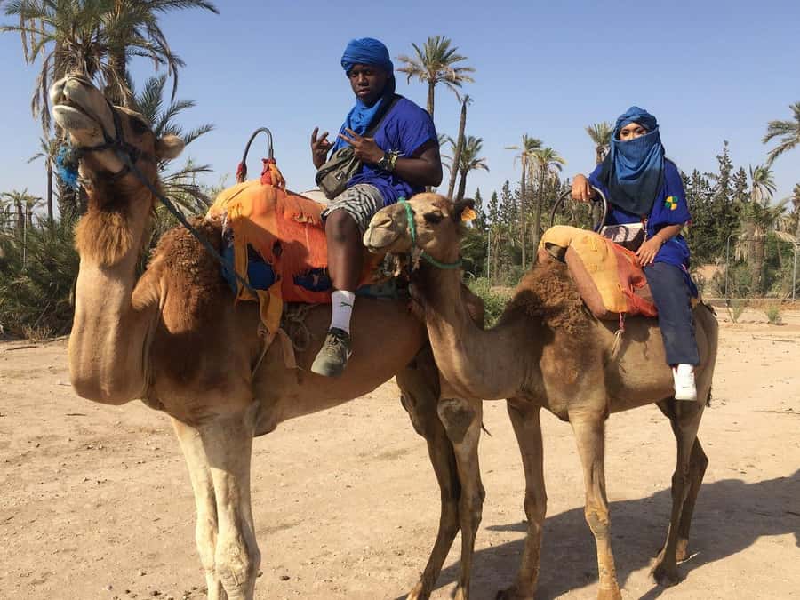 Marrakech: Quad Bike and Camel Ride Tour - Who should choose this outing?