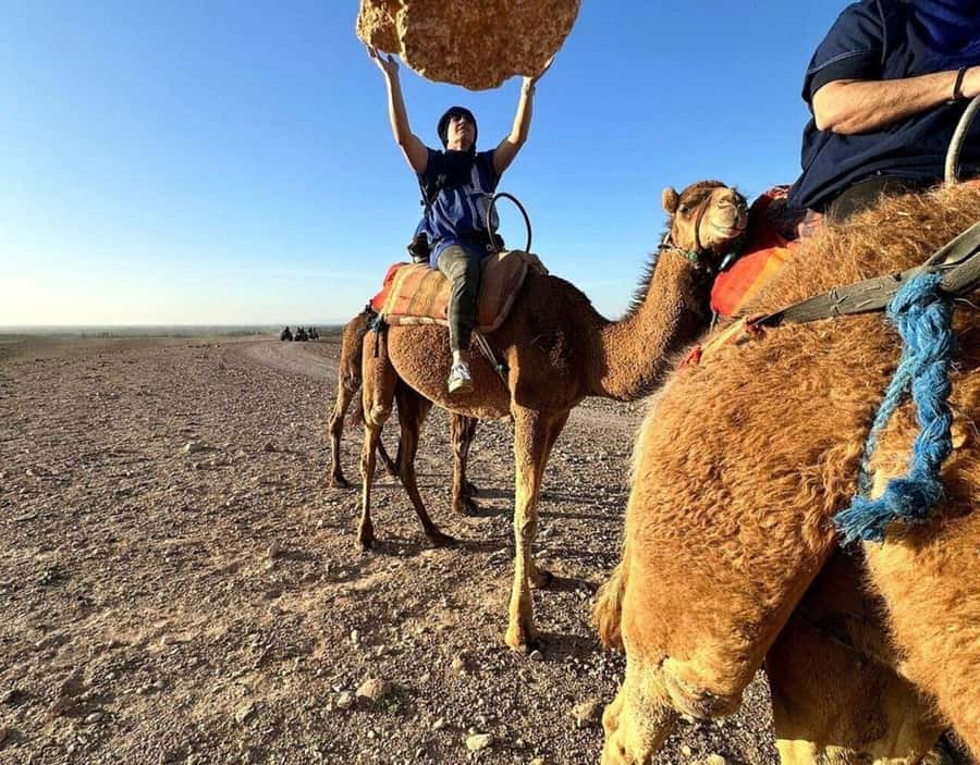 Marrakech : Quad Bike and Camel Ride with dinner in Agafay - The argan oil cooperative and the first tea stop