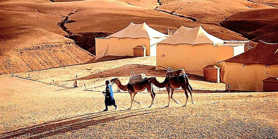 Marrakech : Quad Bike and Camel Ride with dinner in Agafay - A short camel ride with wide desert views